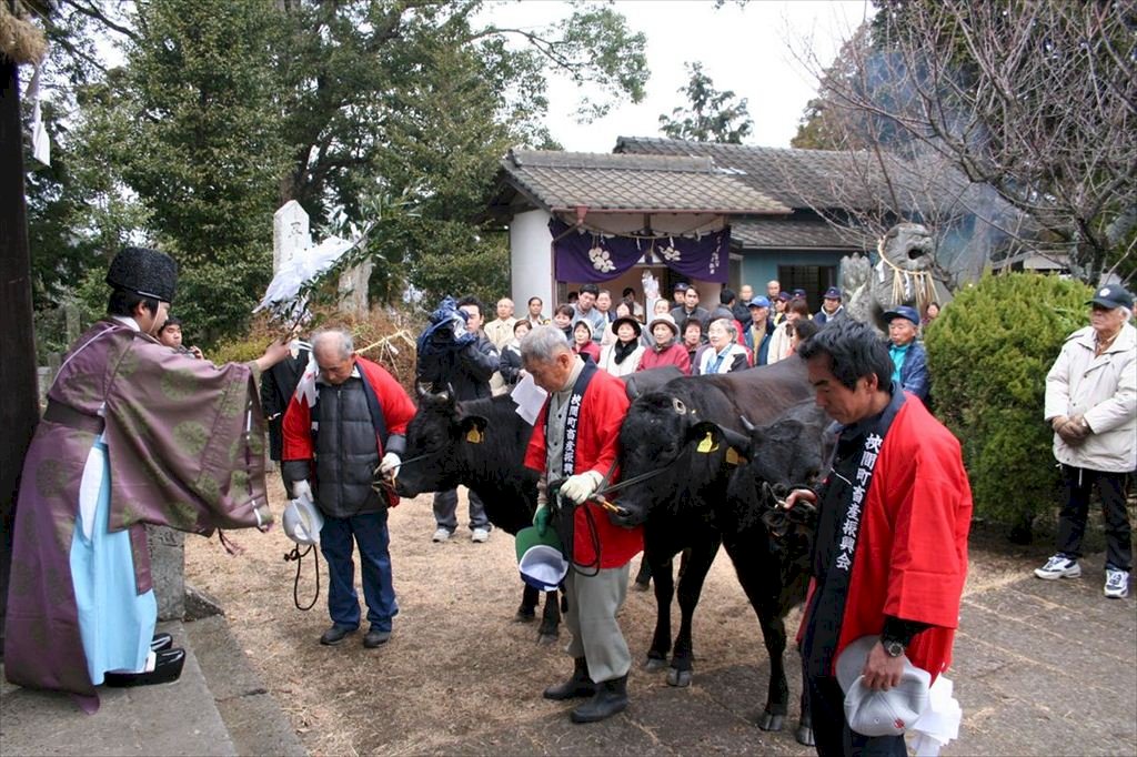 大将軍神社春の大祭　画像１