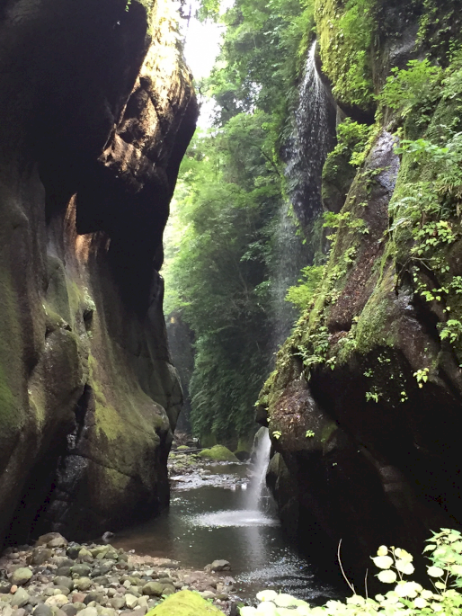 由布川峡谷開き　画像２